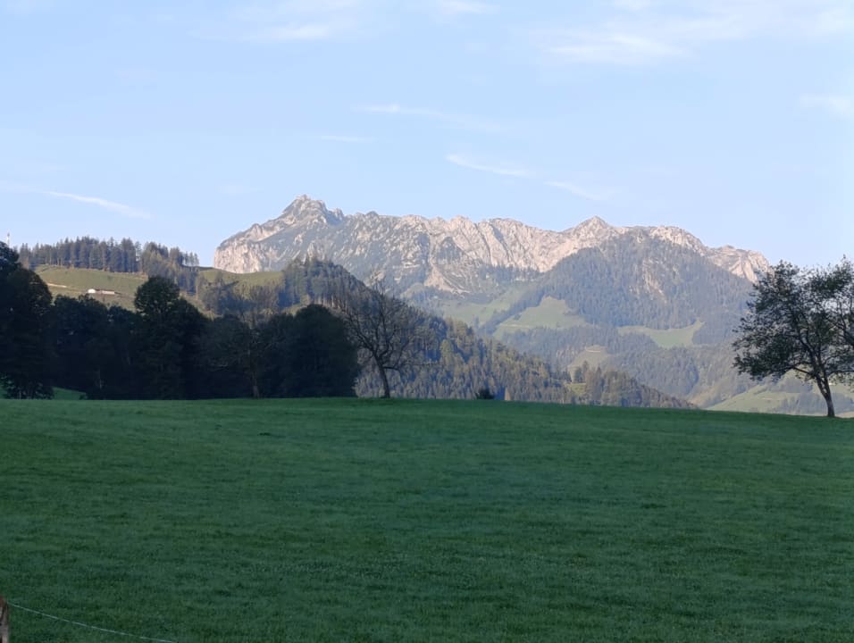 Ausblick Bio-Bauernhof Oberhochstätt