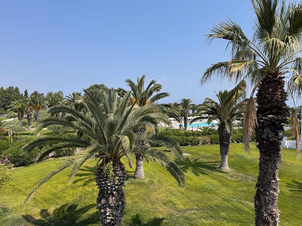 Gartenanlage Kassandra Palace Seaside Resort