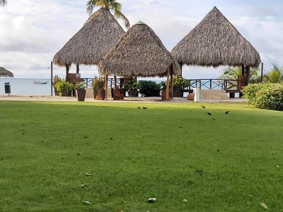 Gartenanlage Grand Decameron Panama, A Trademark All Inclusive Resort