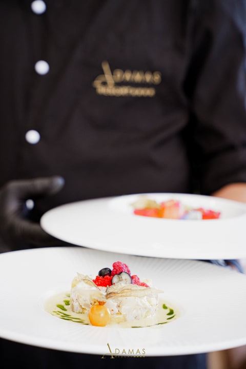 Gastro Adamas Resort & Hotel