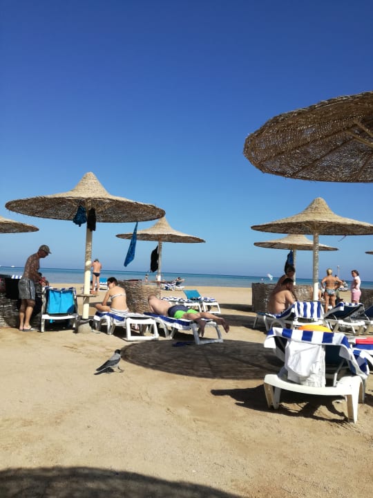 Strand Stella Beach Resort & Spa Makadi Bay