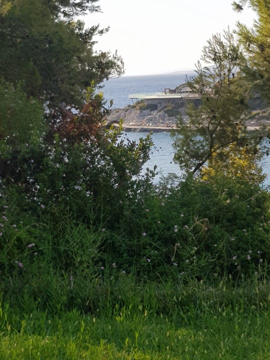 Ausblick Hotel Pine Bay Holiday Resort