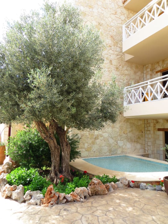 Beim Kafenio Cactus Royal