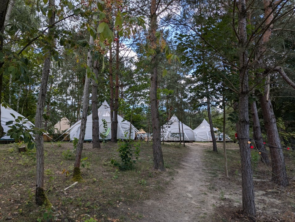 Gartenanlage raus und gut Glamping am Gräbendorfer See