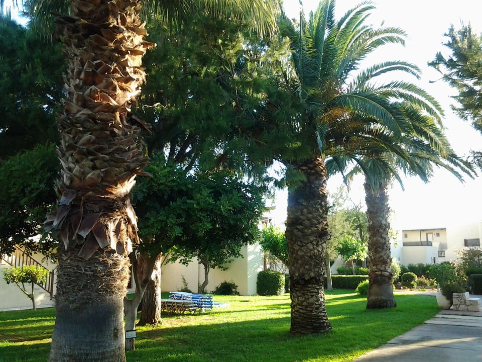 Ist das nicht schön? Phãea Cretan Malia