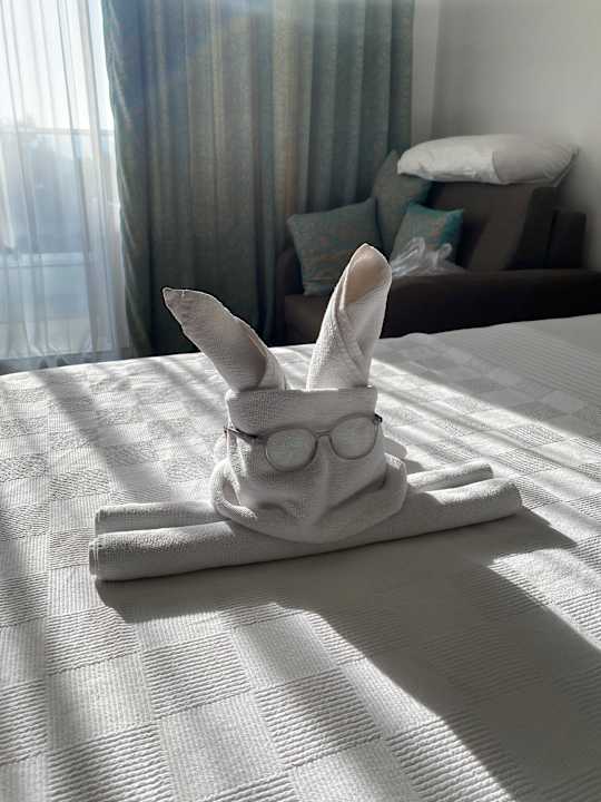 Zimmer Blue Diamond Alya