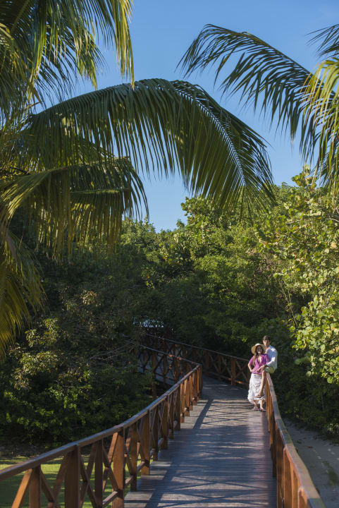 Gartenanlage Blau varadero - Adults only