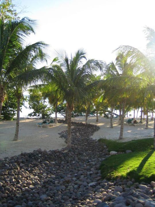 Hotelstrand in der Früh... Hotel Riu Negril