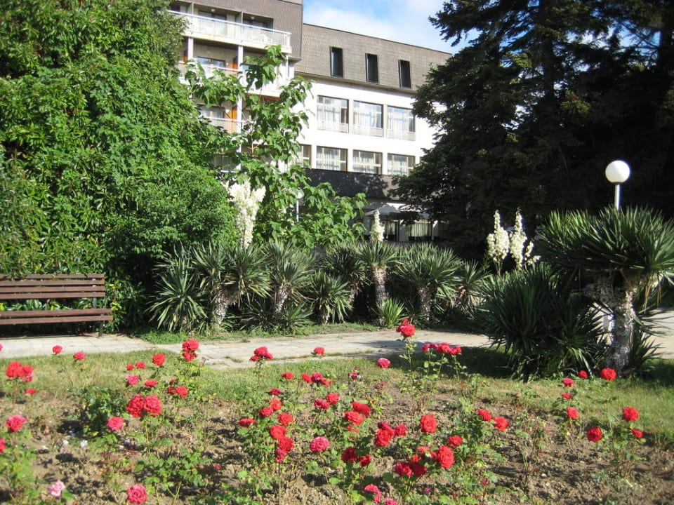 "Blickpunkt" im Club Bereich HVD Riviera Beach