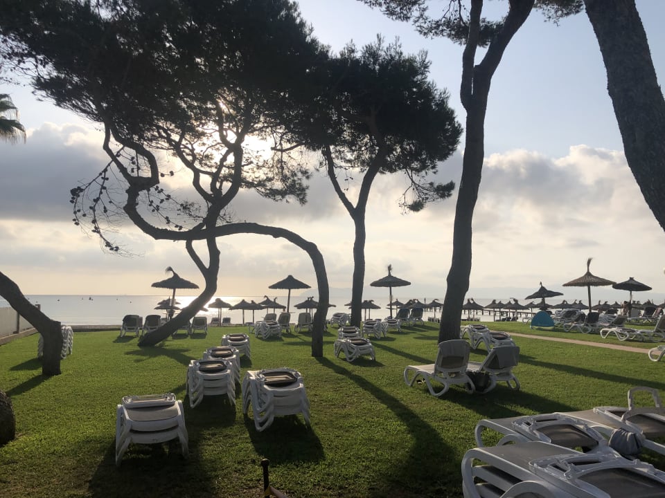 Ausblick Grupotel Los Principes & Spa