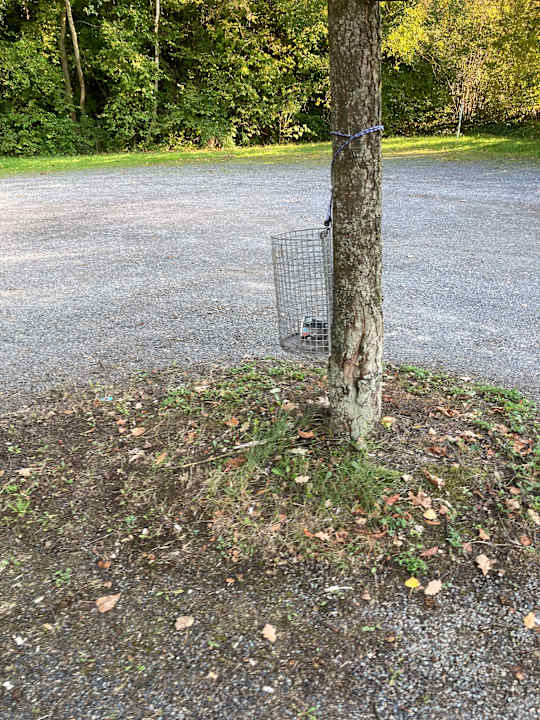 Gartenanlage Best Western Plaza Hotel Zwickau