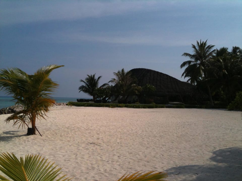Sand wie Puderzucker am "The Beach"  LUX South Ari Atoll