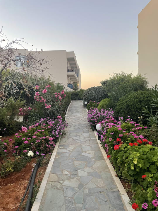 Gartenanlage Hotel Ariadne Beach