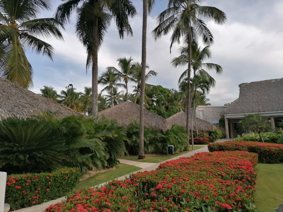 Gartenanlage Hotel Viva Dominicus Beach by Wyndham - All Inclusive Resort