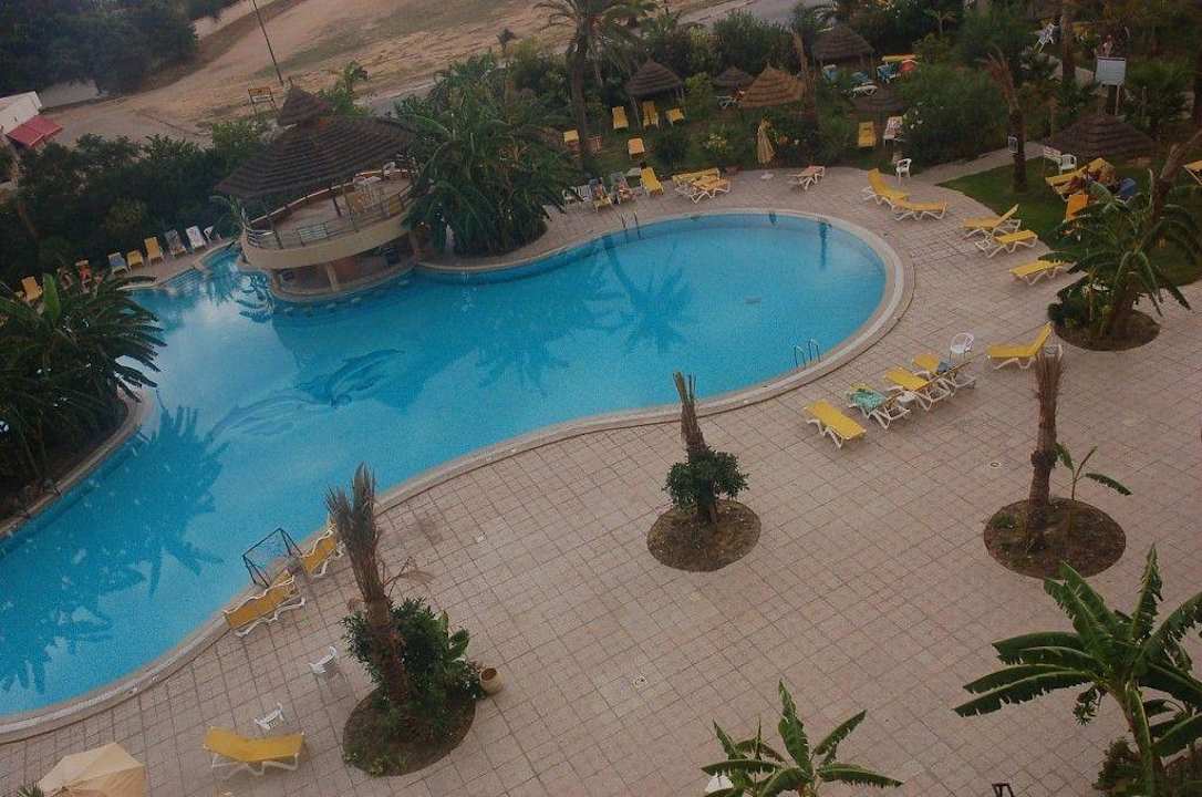 Blick auf den Pool Hotel African Queen