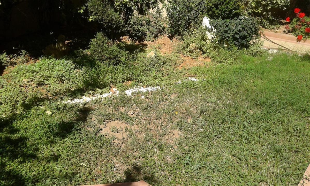 Grünflächen....oder ? Hotel Achillion Palace