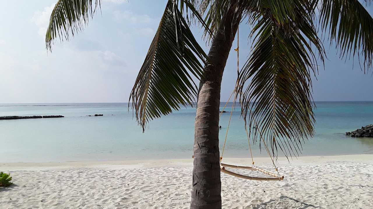 Ohne Bildtitel Summer Island Maldives