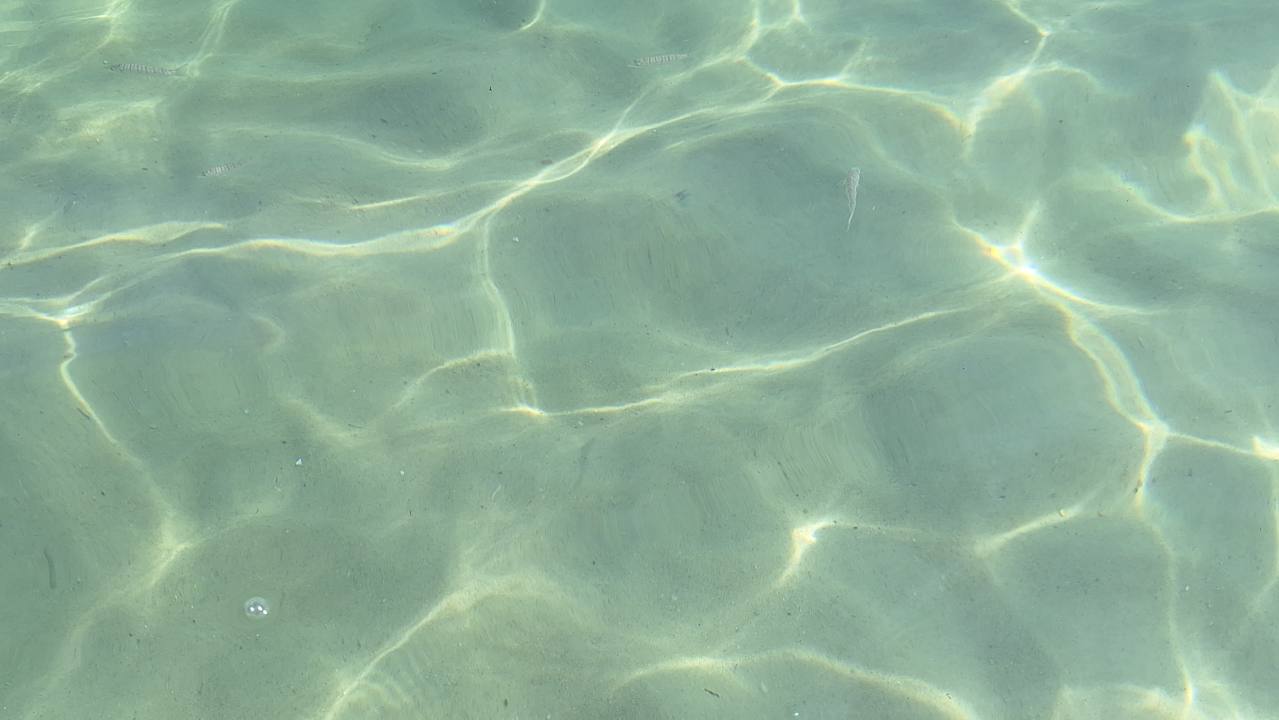 Strand Hotel Paradis Palace