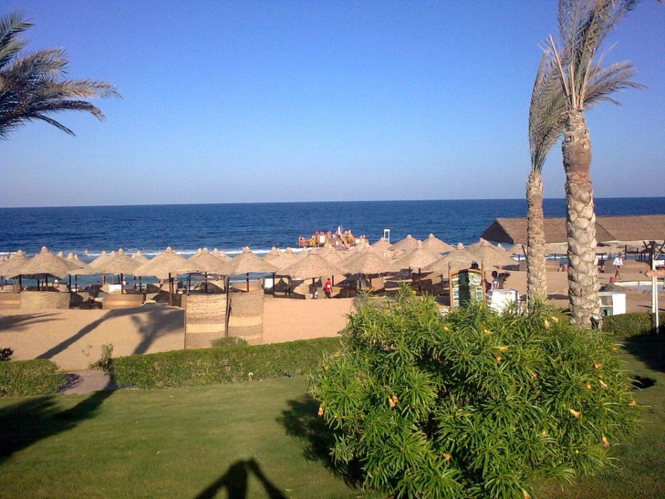 Вид на пляж Serenity Alpha Beach