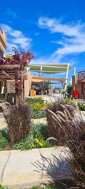 Gartenanlage Shams Prestige Abu Soma-Adults Only