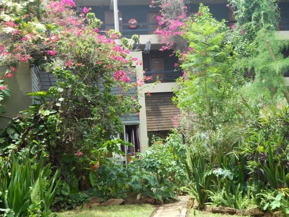 Grüne Oase inmitten Trockenheit Taita Hills Safari Resort & Spa