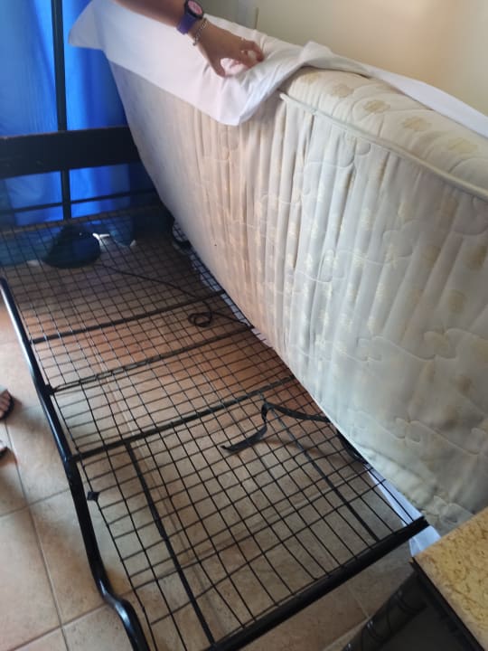 Zimmer Parrotel Aqua Park Resort