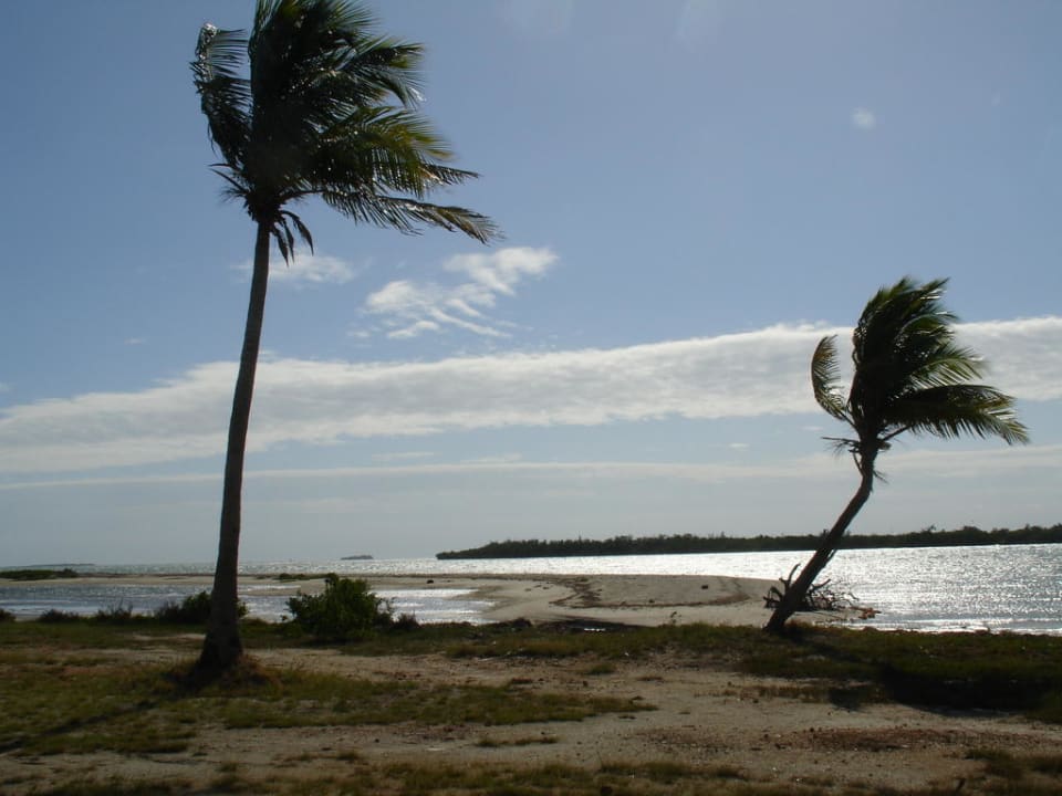 Blick von der Restaurantterrasse Privilege Cayo Libertad - Adults only