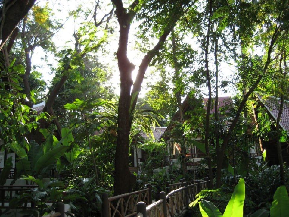 Im Resort Marina Phuket Resort