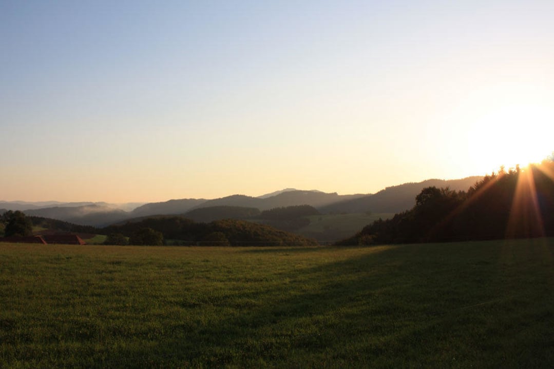 Umgebung beim Sonnenaufgang Schlosshof - der Urlaubsbauernhof
