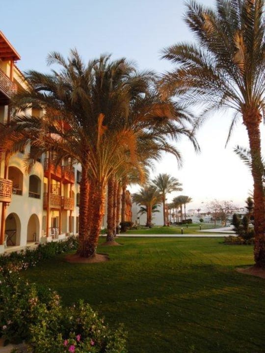 Ausblick Pickalbatros Dana Beach Resort - Hurghada