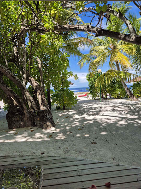 Ausblick Ellaidhoo Maldives by Cinnamon