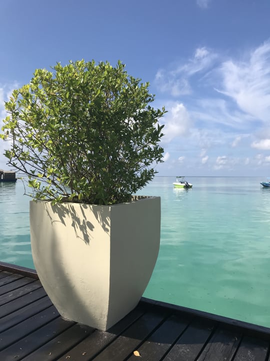 Hotel-Strand Adaaran Select Hudhuran Fushi - Premium All Inclusive