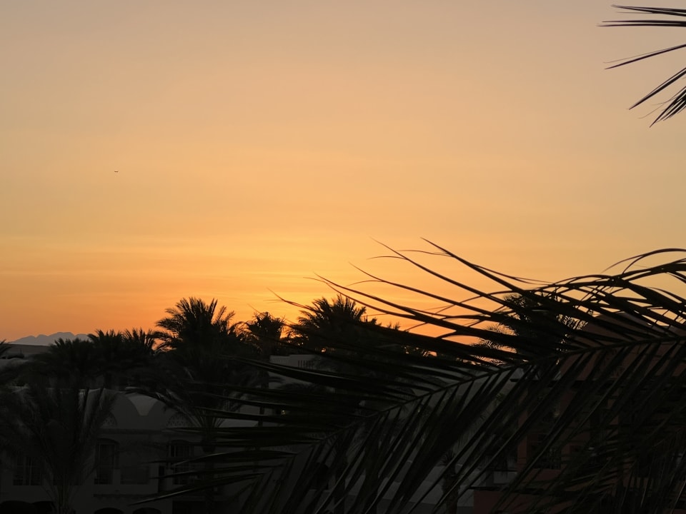 Ausblick Jaz Makadi Blue - TUI BLUE Makadi - Adults Friendly 16 Years Plus