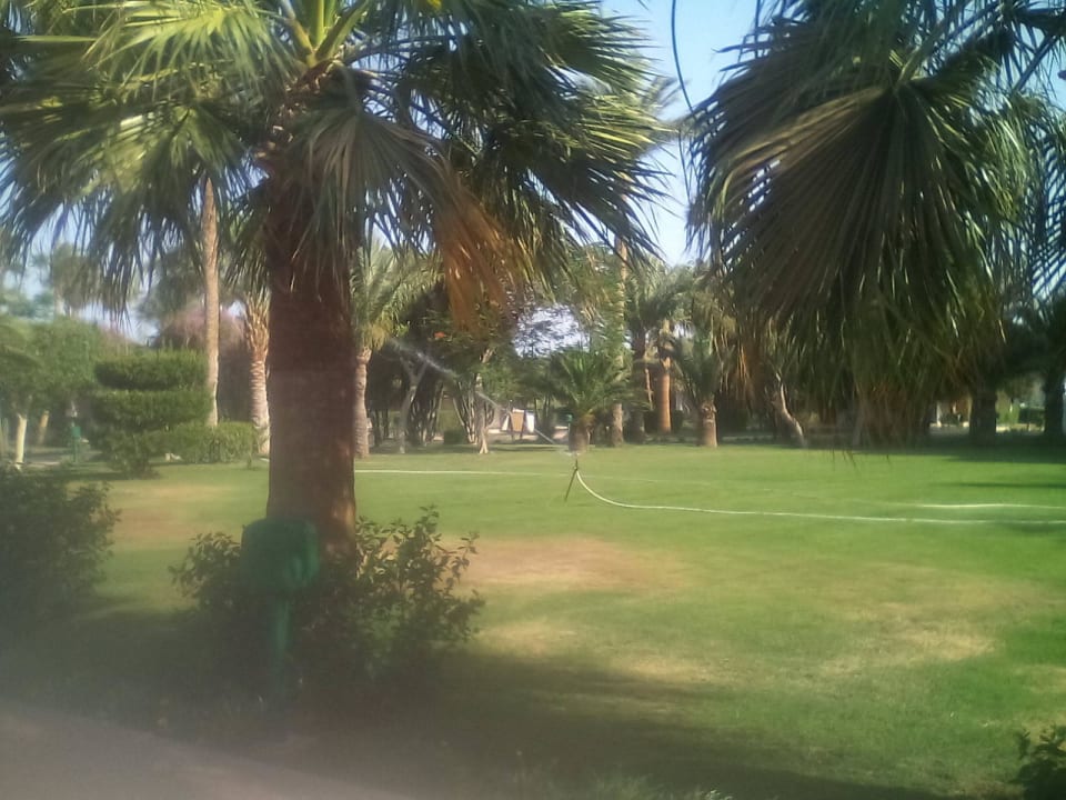 So good Shams Safaga Resort