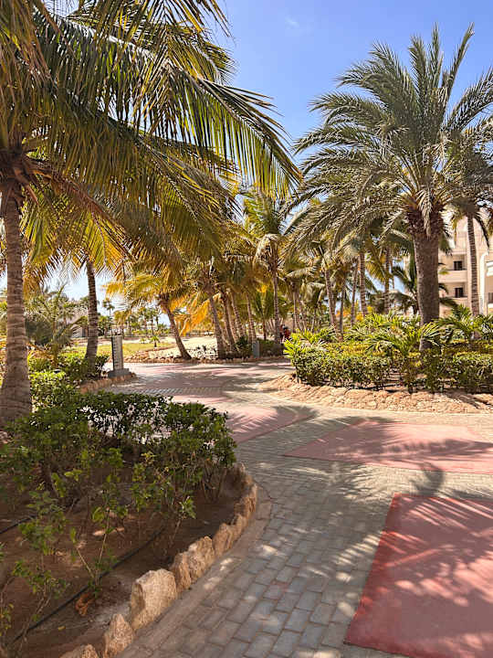 Gartenanlage Hotel Riu Karamboa