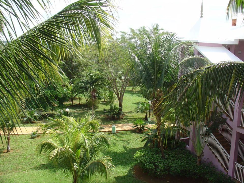 Garten Hotel Riu Palace Tropical Bay