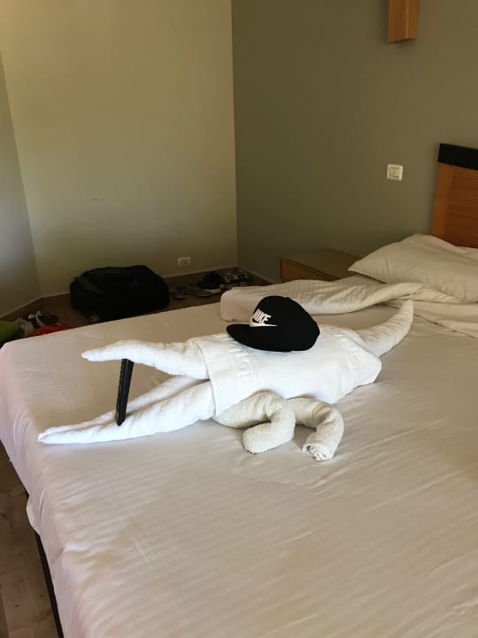 Zimmer Prima Life Makadi Resort