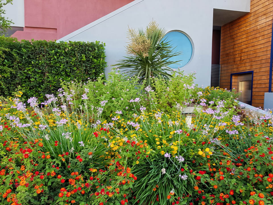 Gartenanlage Harmony Boutique Resort