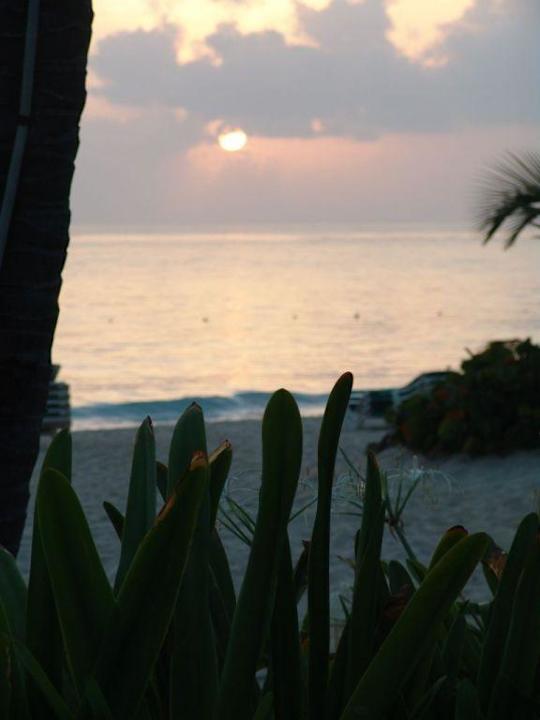 Aussicht Grand Palladium Select Bávaro Resort & Spa