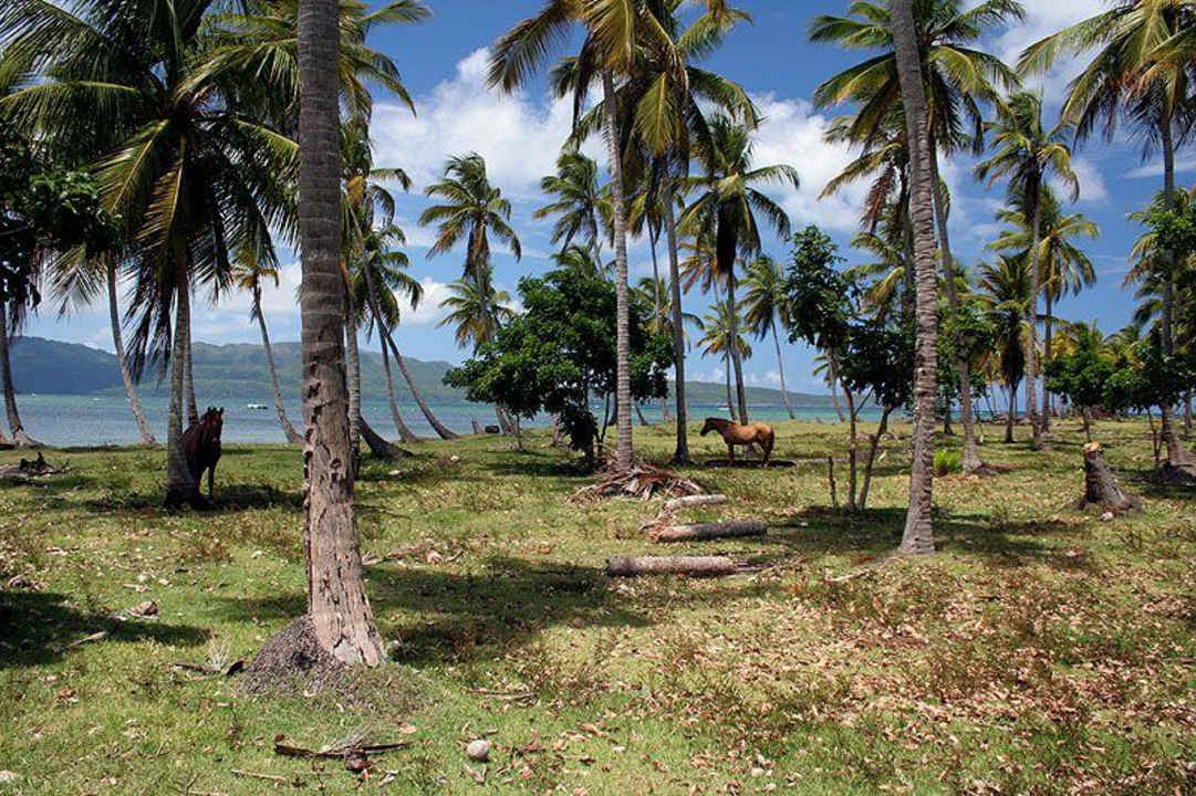 Rechts vom Hotel-Strand aus Wyndham Alltra Samana