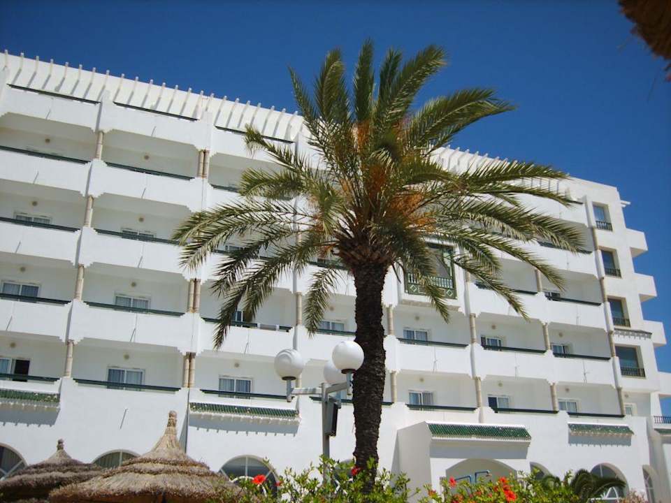 Hotel jinene Hotel Jinene