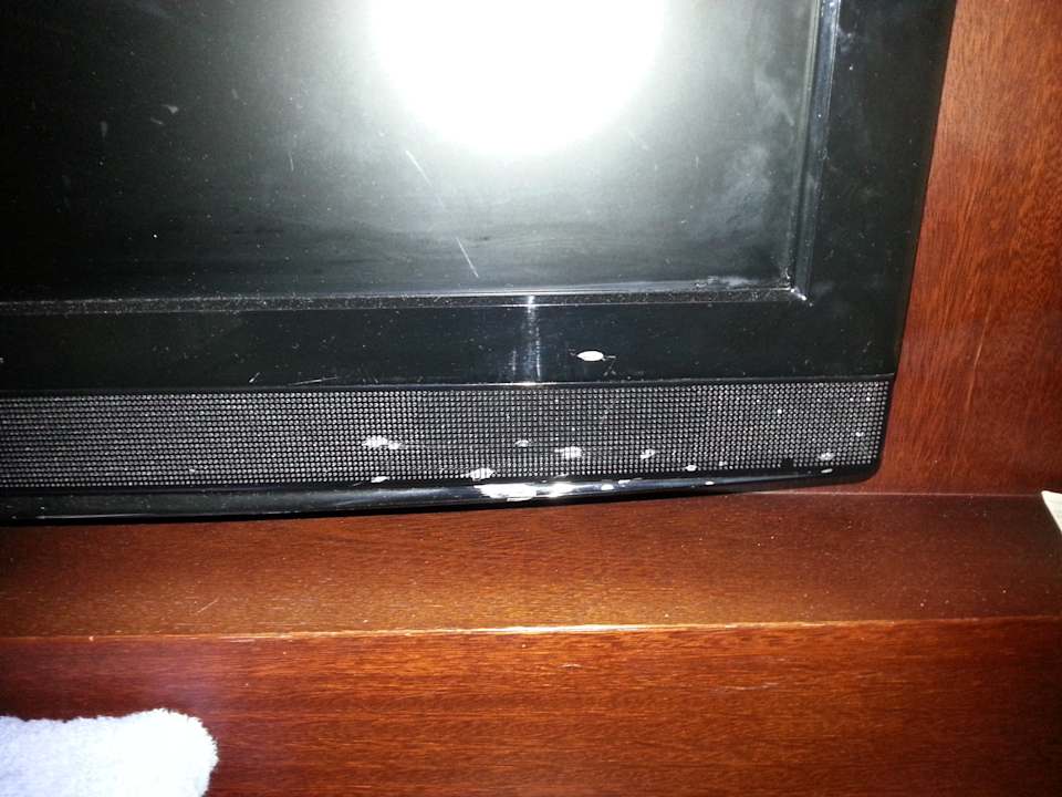 Zimmer Wyndham Alltra Samana