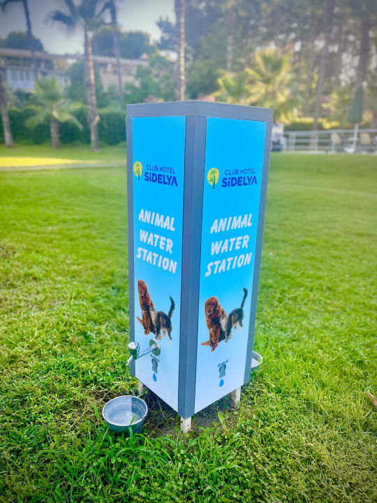 Gartenanlage Club Sidelya Hotel