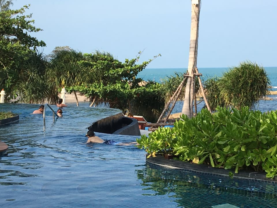 Pool The Ritz-Carlton, Koh Samui