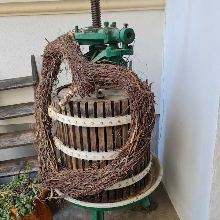 Gartenanlage Pension Julia