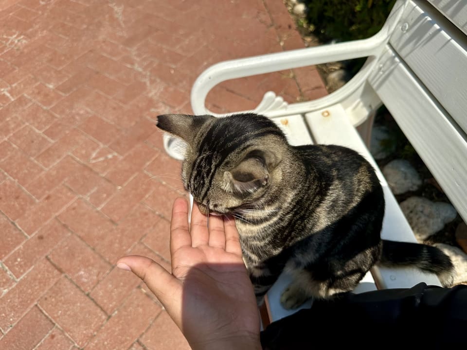 Gartenanlage Side Star Elegance