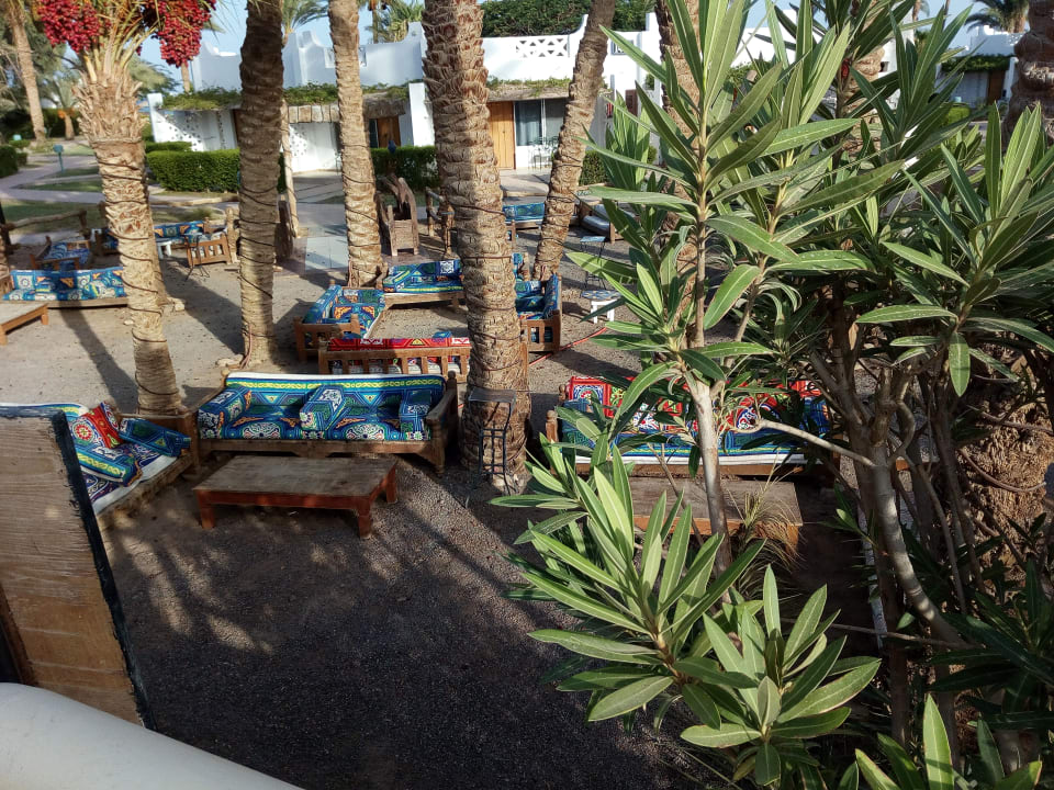 Gartenanlage Shams Safaga Resort