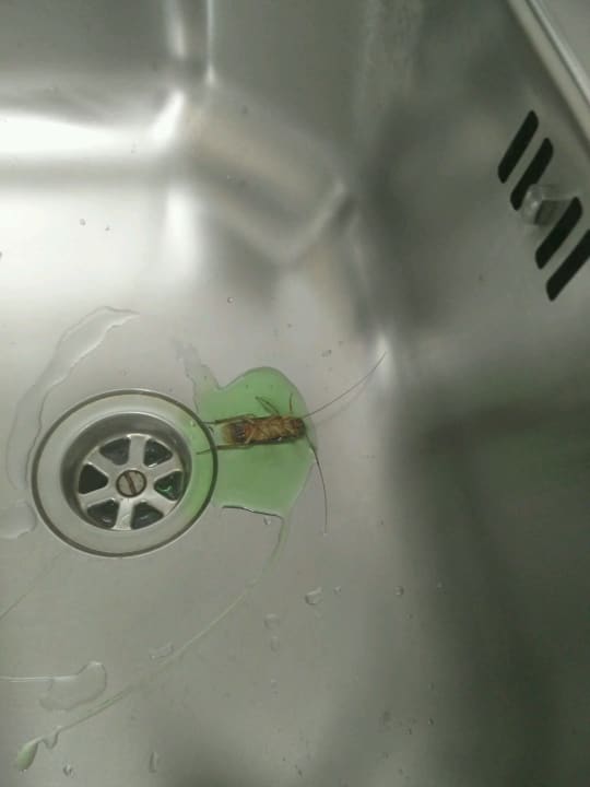 Sonstiges Apartments Nissi 49