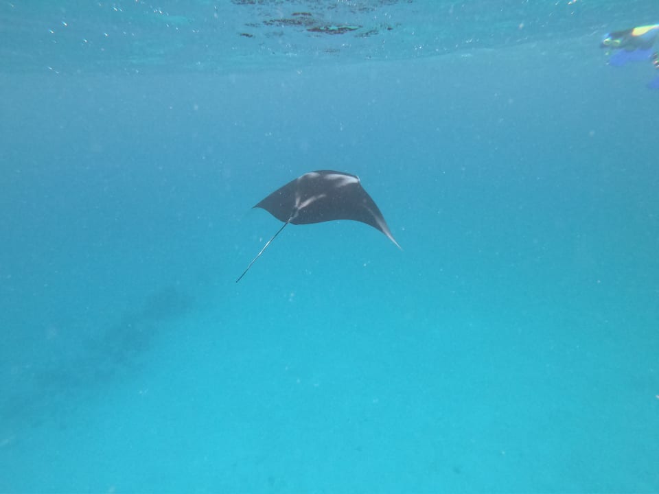 Sport & Freizeit Kuramathi Maldives