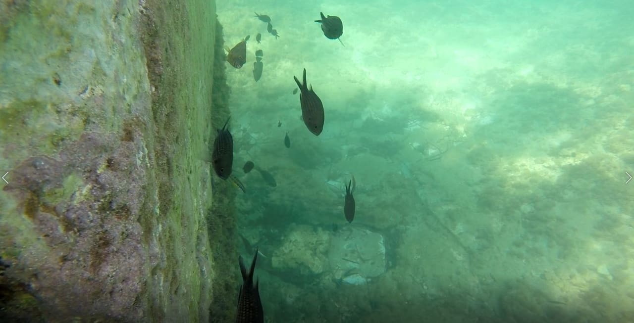 Strand Riviera Spa Resort - Adults Only